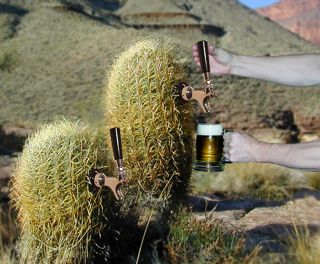 barrel_cactus