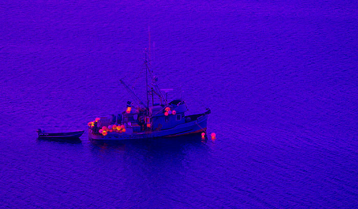 neon_boat