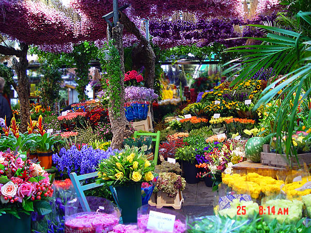 flower_market