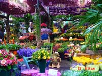 flower_market