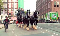 horse_carriage